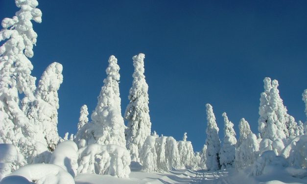 10 redenen waarom je kiest voor een wintervakantie naar het noorden van Scandinavië!
