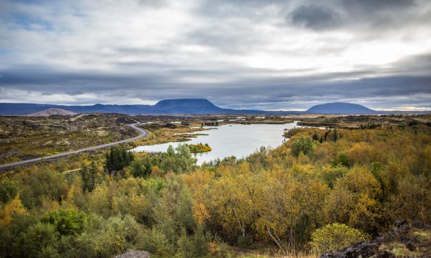 Puur natuur in mystiek IJsland
