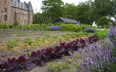 Geldersch Landschap en Kasteelen pakt uit tijdens Week van het Landschap!